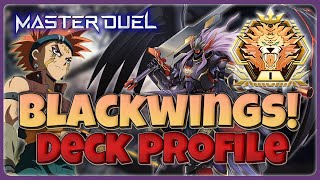 1 BEST PURE BLACKWING DECK  MASTER 1  MASTER DUEL [upl. by Radie]