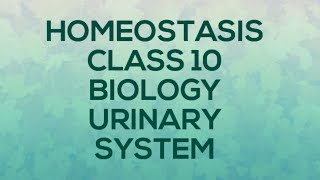 HOMEOSTASIS CLASS 10 BIOLOGY URINARY SYSTEM [upl. by Ennovahs455]