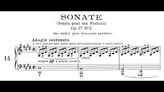 Beethoven Sonata quasi una fantasia No14 in C Minor quotMoonlightquot Lortie Jando [upl. by Rizzi124]