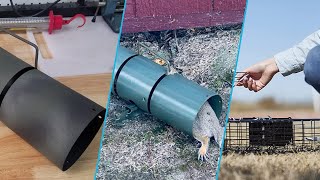 Top 10 Squirrel Trap in 2024 Top Picks [upl. by Rye]