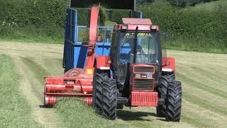 CASE IH 956XL TURBO AND TARRUP 106 FORAGER PART 1 OF 3 [upl. by Geesey]