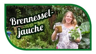 Brennesseljauche herstellen ansetzen🌱 Unser Spezialrezept 🌱 Brennnesseljauche Bester Dünger [upl. by Quinta]