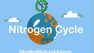 Describe Nitrogen CycleNitrogen cycle in simple terms [upl. by Darelle459]