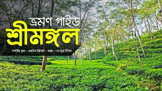 Sreemangal Travel Guide  শ্রীমঙ্গল ভ্রমণের সকল তথ্য  Moulvibazar Sylhet  ভ্রমণ গাইড [upl. by Fawn37]