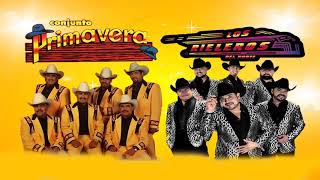 Conjunto Primavera Ft Rieleros Del Norte Mix Norteñas Que Dan Sed Edit 2020 Sax Pala Raza Vip [upl. by Ainecey]