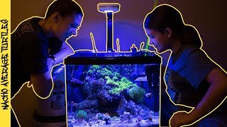 AI Prime HD Light We Got a NEW REEF LIGHT 2019 [upl. by Revkah]