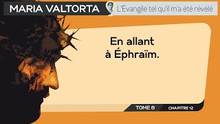 Maria Valtorta  Tome 8  Chapitre 12  En allant à Éphraïm [upl. by Nogas]