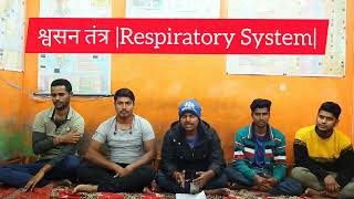 श्वसन तंत्र respiratory system quiz [upl. by Mahala]