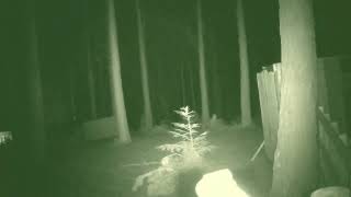 Testing the Nightfox Red night vision at an Airsoft game [upl. by Adnorrehs721]