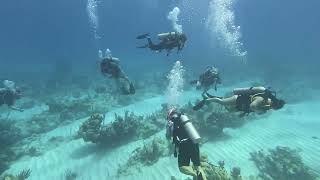 Turks and Caicos quotCathedralsquot Scuba dive [upl. by Denman]