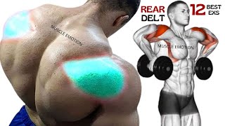 12 BEST REAR DELTOID EXERCISES WITH DUMBBELLS ONLY AY HOME OR AT GYM [upl. by Nylidnarb705]