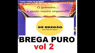 BREGA PURO VOL 2 AS MELHORES [upl. by Yonina]