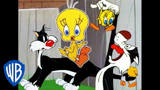 Looney Tunes  I Taut I Taw a Putty Tat  Classic Cartoon Compilation  WB Kids [upl. by Kacerek]