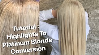 TUTORIAL  Highlights To Platinum Blonde Conversion  SAFELY Lightening The Hair [upl. by Lane]