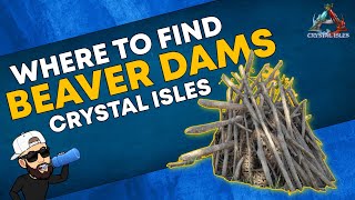 Ark Crystal Isles  ALL Beaver Dam Locations  QUICK and EASY Cementing Paste  Resource Guide [upl. by Kirrad]