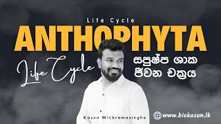 Anthophyta Life Cycle  Unit 4  Biology  Kasun Wickramasinghe [upl. by Nanreik]