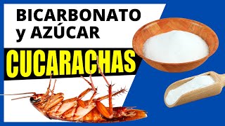 ⭐ Cómo Eliminar Cucarachas con BICARBONATO Y AZUCAR [upl. by Adnahsar]