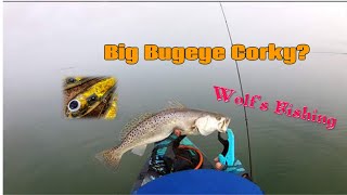 Bugeye Corky  Wolfs Fishing in Corpus ChristiTx 192021 Laguna Madre [upl. by Blessington]