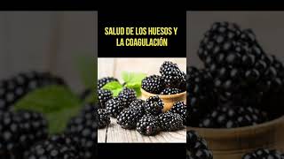 ¡Descubre los poderosos beneficios de las moras 🖤🍇 moras fibra vitaminak vitaminac shorts [upl. by Eillam]