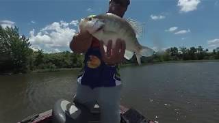 Summer Crappie Parsons Lake with Crappie Kirby [upl. by Bertolde]