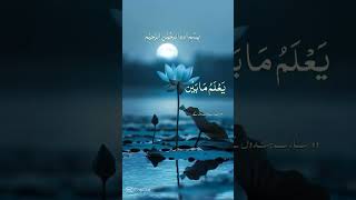 Ayatul kursiQuran verseslikeislamicprayershorts subscribe [upl. by Mcloughlin]