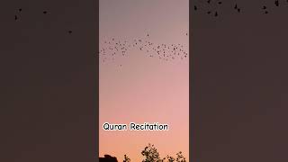 Beautifil Recitation of Quran with Sunset ❤ [upl. by Edana]