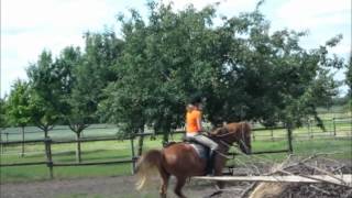 Reiten auf dem besten Pferd der Welt [upl. by Lavern]