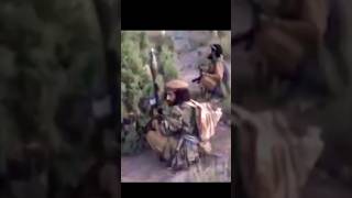 Afghan past sadly and simply Taliban state hassand1 armedforces ytshorts hassanwadd military [upl. by Swithin]