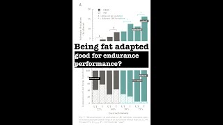 Part 1 Being Fat Adapted Good for Performance [upl. by Ilarin947]