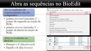 Análise de eletroferogramas Alinhando sequências no BioEdit [upl. by Astred]