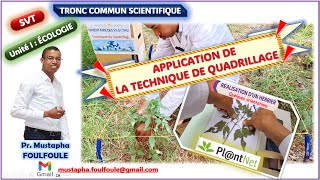 Ecologie Vidéo 2 Méthode statistique  Technique de quadrillage [upl. by Kelcy]