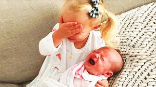 Legendary Moments When Kids Meet Newborn Babies  Funny Baby Siblings [upl. by Lotsirhc692]