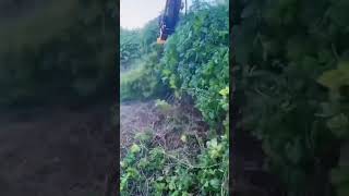 Overdecompressed excavator cleans weed field [upl. by Shieh36]