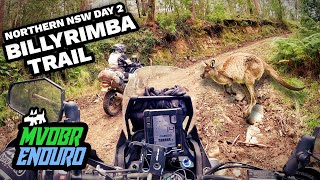 Epic Northern NSW T7 Adventure Day 2 The Billyrimba Trail  MVDBR Enduro 246 [upl. by Ainna]