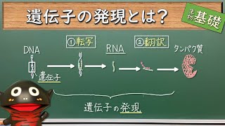 遺伝子の発現とは？【65生物基礎】新課程対応 [upl. by Ayna]