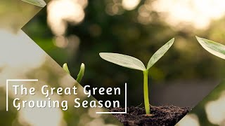 The Great Green Growing Season  Aimee Accetturo [upl. by Anan]