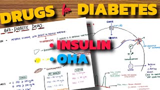 DRUGS FOR DIABETES  Insulin  OHA  Pharmacology [upl. by Yssep708]