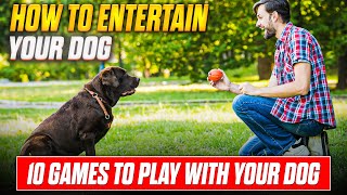 10 Fun Games to Play With Your Dog  Keep Them Active and Happy [upl. by Ardnaxila793]