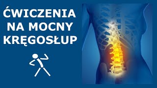 Ćwiczenia na stabilny i mocny kręgosłup  Stabilizacja głęboka kręgosłupa  Ćwiczenia CORE [upl. by Petulia]