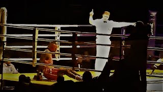 Deontay Wilder knocked out by Evgeny Romanov [upl. by Aoh972]