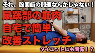 中々治らない鼠蹊部の痛みを自宅で改善プロジェクト！ストレッチ、体操で予防と改善へ！ [upl. by Gardie322]