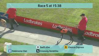 Crayford Greyhounds Races on 28th September 2024 [upl. by Slorac]