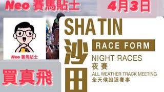 買真飛 【賽馬貼士】 2024年4月3日 香港賽事 心水推介 沙田馬場 Shatin Racecourse Hong Kong Horse Racing [upl. by Padgett63]