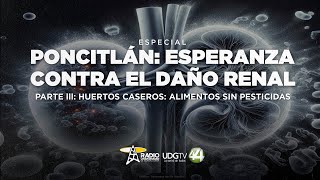 Poncitlán esperanza contra el daño renal  Parte III Huertos caseros alimentos sin pesticidas [upl. by Dulcie327]