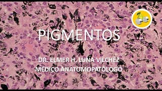 ¿QUÉ SON LOS PIGMENTOS CELULARES  Dr Elmer Luna Vilchez [upl. by Dnob]