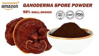 Reishi Powder Ganoderma Spore Powder Mushroom Superfood Benefits AntiCancer [upl. by Nylissej97]