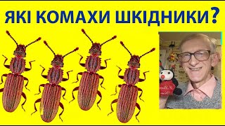 Ентомолог і Комахи Шкідники Саду Городу Запасів Ентомологічна Експертиза  Вам Цікаво [upl. by Aivataj852]