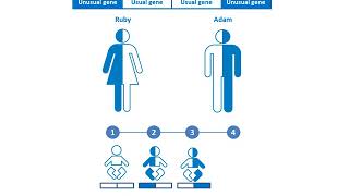 How are recessive disorders inherited English [upl. by Neill]