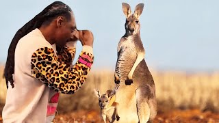 Snoop Dogg Punches Kangaroo [upl. by Richman]