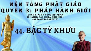 PHẦN 44  SÁCH NÓI PHÁP HÀNH GIỚI  TỲ KHƯU HỘ PHÁP  PHẬT GIÁO NGUYÊN THỦY THERAVADA [upl. by Masry]